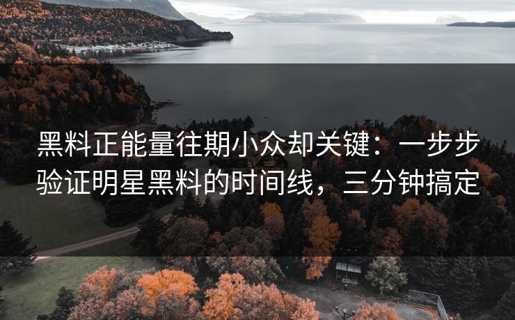 黑料正能量往期小众却关键：一步步验证明星黑料的时间线，三分钟搞定